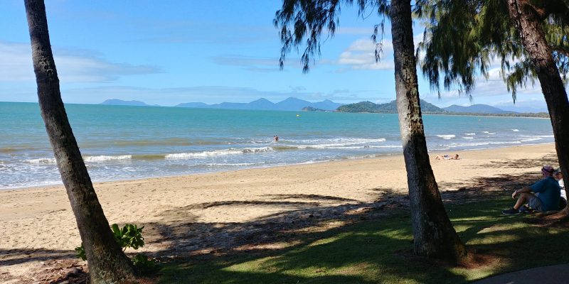 palm cove